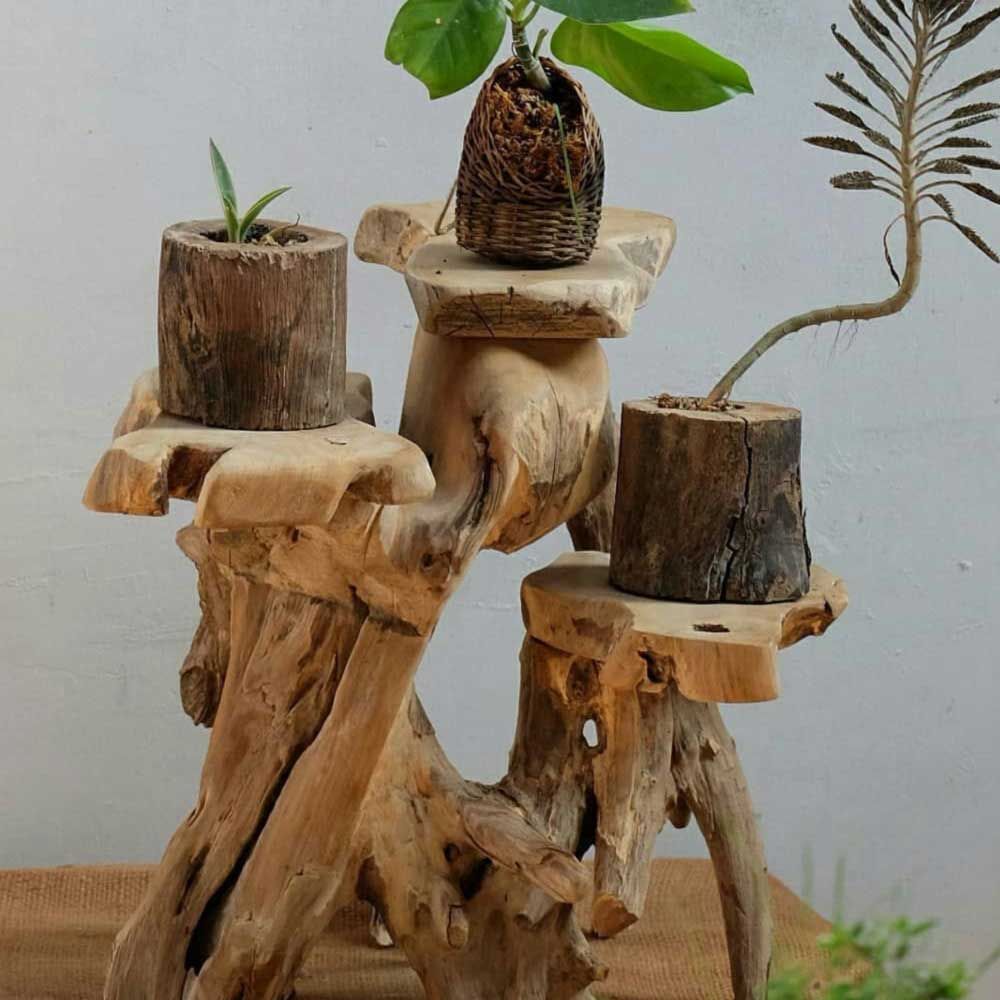 31 Exclusive Plant Stand Ideas To Introduce Into Your Interior Regarding Rustic Plant Stands (Photo 1 of 15)