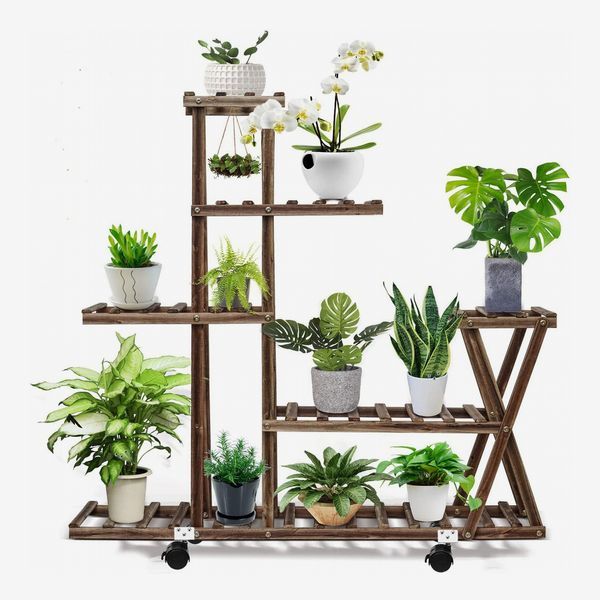 39 Best Plant Stands 2022 | The Strategist For 4 Tier Plant Stands (Photo 9 of 15)
