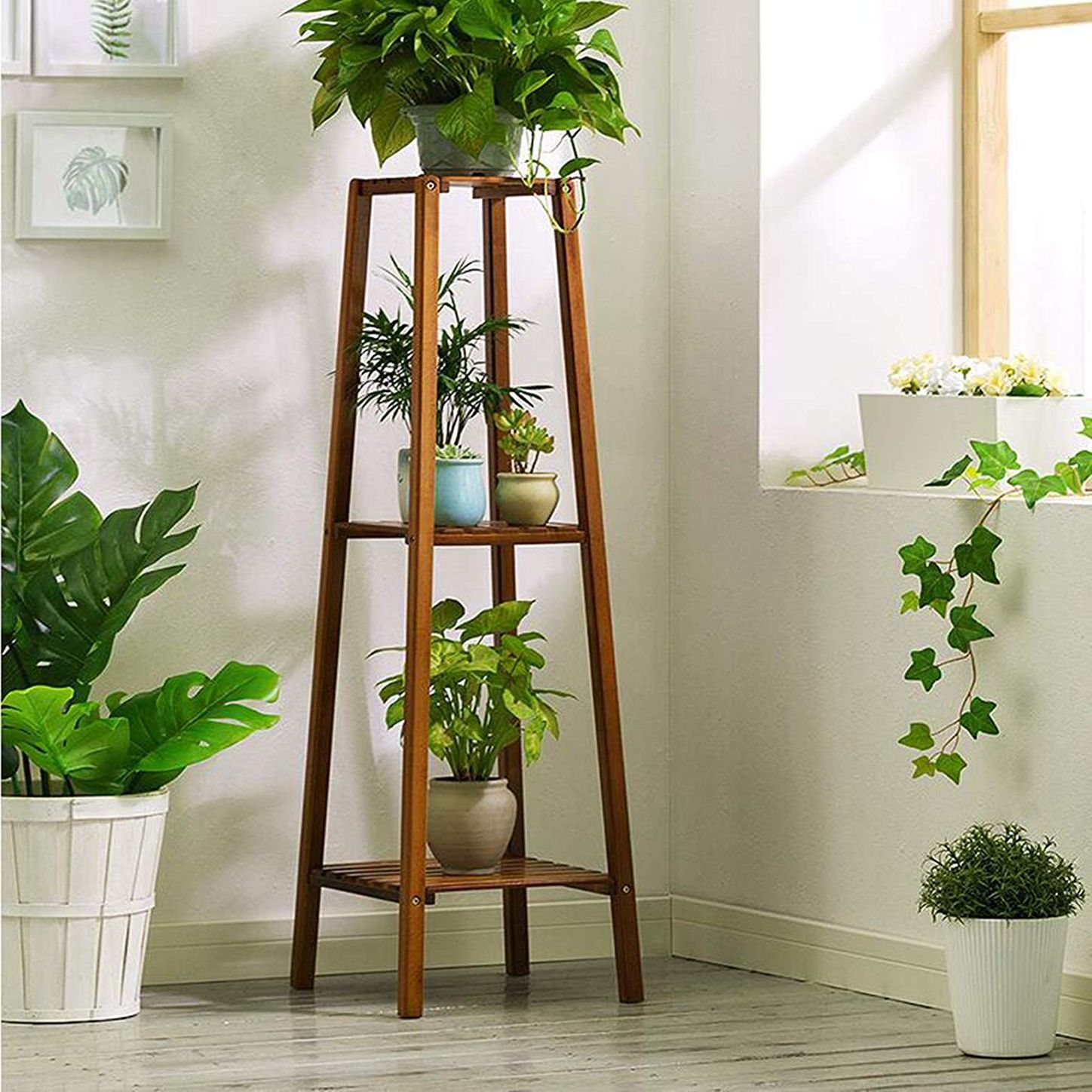 Featured Photo of 15 Best Collection of Tall Plant Stands