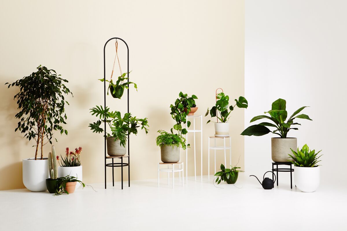 3d Printed Vases + Concrete Plant Stands: Ivy Muse's New Range – The  Interiors Addict Intended For Ivory Plant Stands (Photo 4 of 15)