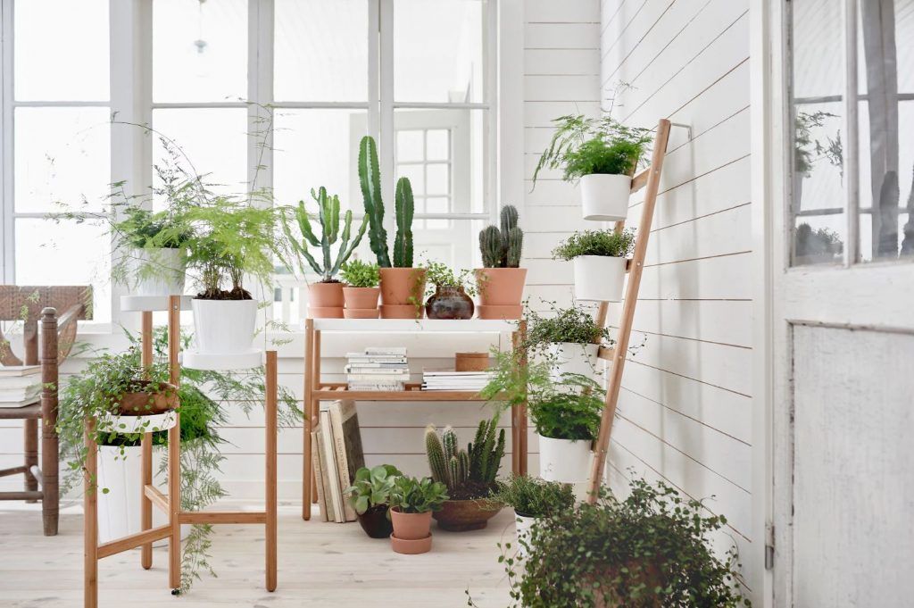 9 Modern Plant Stands For Every Budget – Livabl With Modern Plant Stands (Photo 14 of 15)