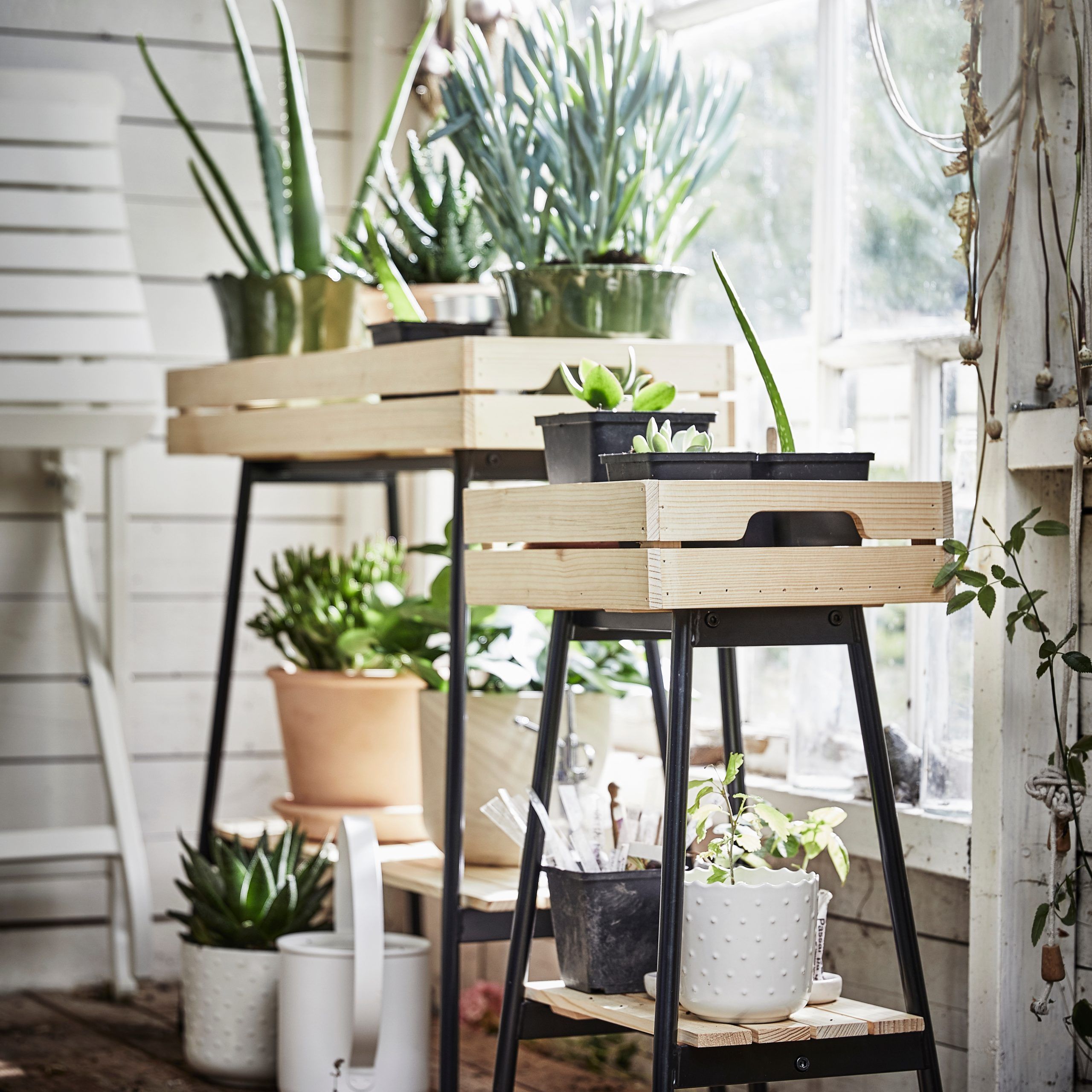 A Sturdy Plant Stand For Your Green Companions – Ikea With Green Plant Stands (Photo 2 of 15)