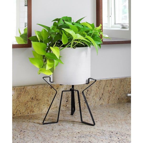 Achla Designs 15 In. Tall Black Powder Coat Metal Simple Folding Tabletop  And Floor Florence Plant Stand Fb 63 – The Home Depot For Powdercoat Plant Stands (Photo 8 of 15)