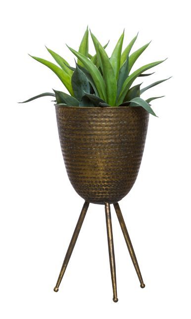 Aloe In Small Bronze Plant Stand – Lux Art Silks Within Bronze Small Plant Stands (View 14 of 15)