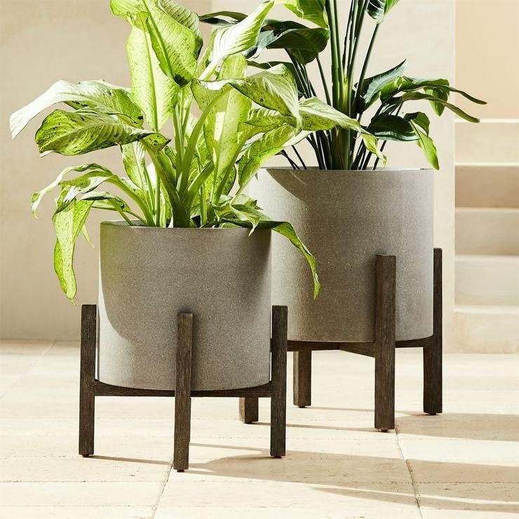 Ascoli Gray Stone Wood Stand Planters Throughout Stone Plant Stands (View 9 of 15)