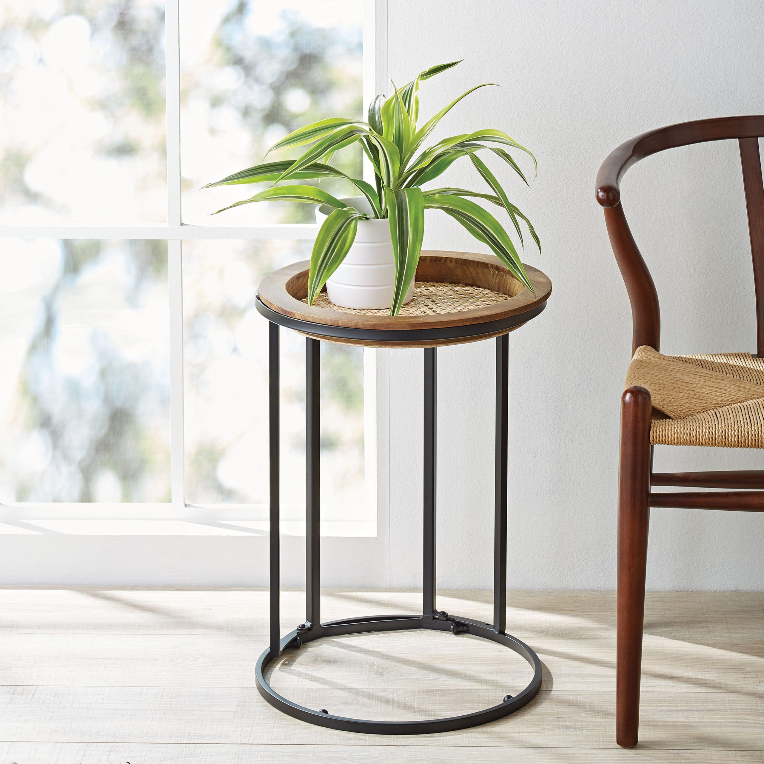 Featured Photo of 15 Best Collection of 15.5-inch Plant Stands