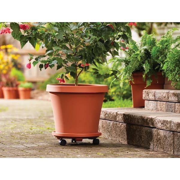 Bloem Caddy Round 16 In. Terra Cotta Plastic Plant Stand Caddy With Wheels  95126c – The Home Depot With 16 Inch Plant Stands (Photo 9 of 15)