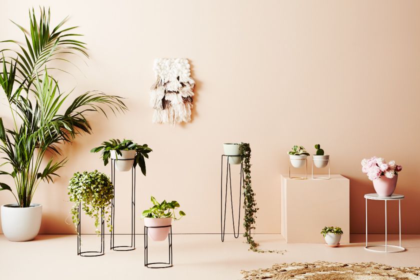 Boheme Collection From Ivy Muse | Hunting For George With Regard To Ivory Plant Stands (View 11 of 15)