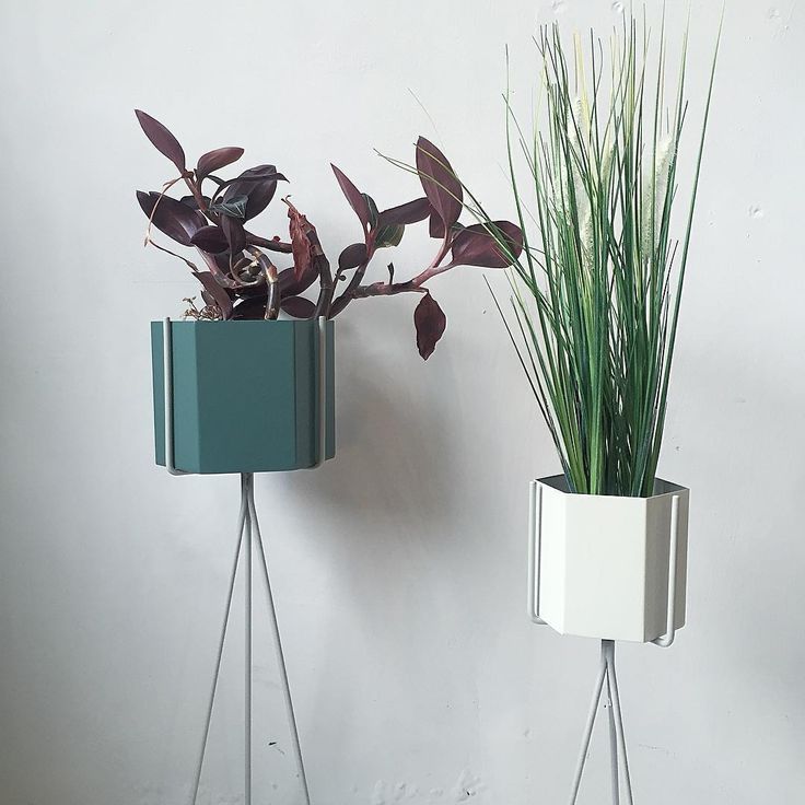Bohemia On Instagram: “ny Farge På Plant Stand Grey Kr 299,  Og 329,  Hexagon  Pot Dusty Green Xl 699,  Grey Large 329,  @f… | Plant Stand, Ferm Living,  Green Living For Hexagon Plant Stands (Photo 11 of 15)