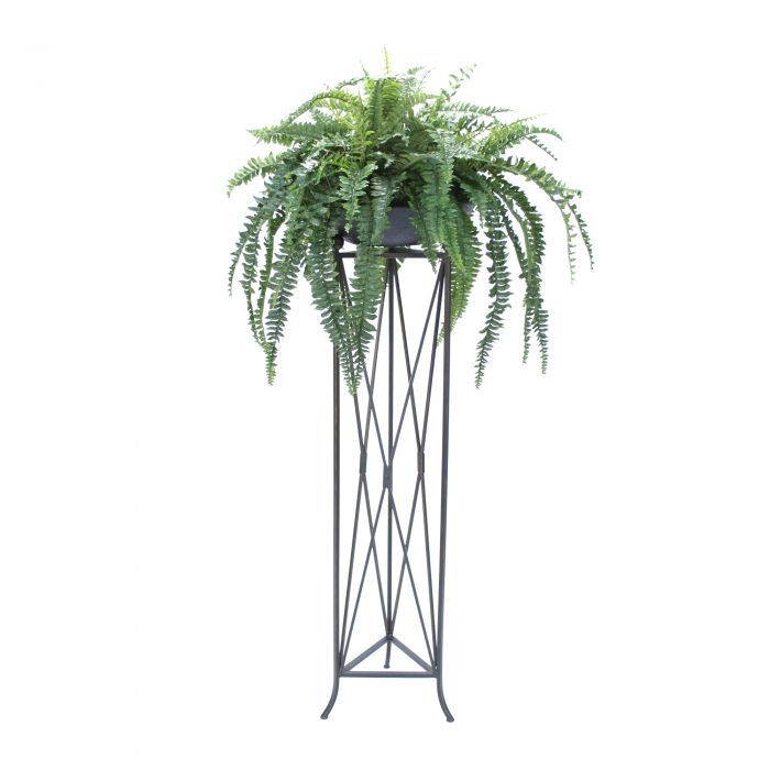 Boston Fern In Stone Bowl In Large Plant Stand – Distinctive Designs For Stone Plant Stands (View 14 of 15)