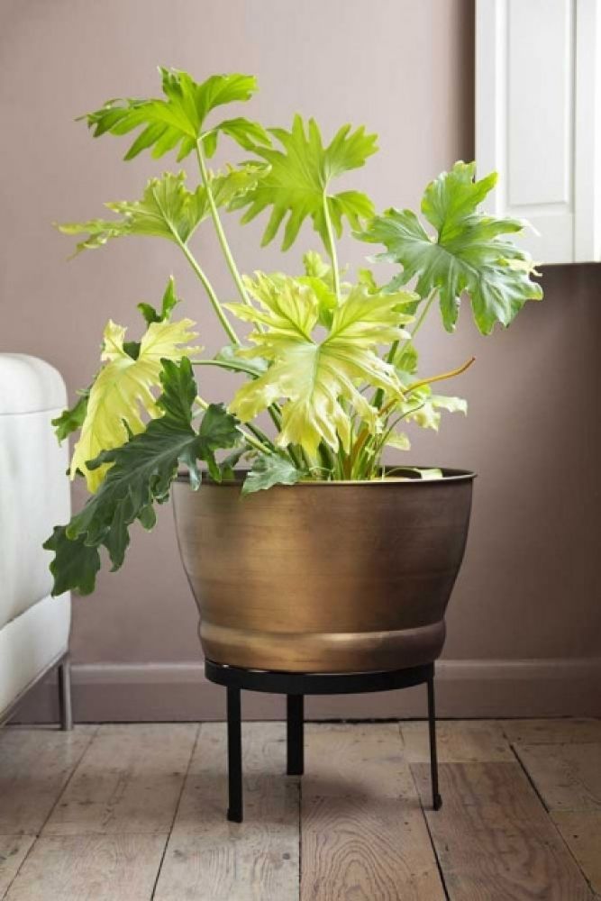 Brass Effect Planter With Stand | Rockett St George With Brass Plant Stands (View 9 of 15)