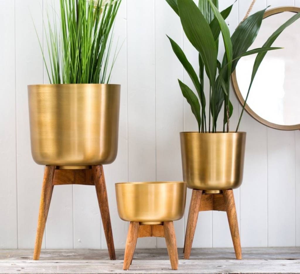 Brass Plant Pot On A Wooden Standthe Forest & Co |  Notonthehighstreet For Brass Plant Stands (View 13 of 15)