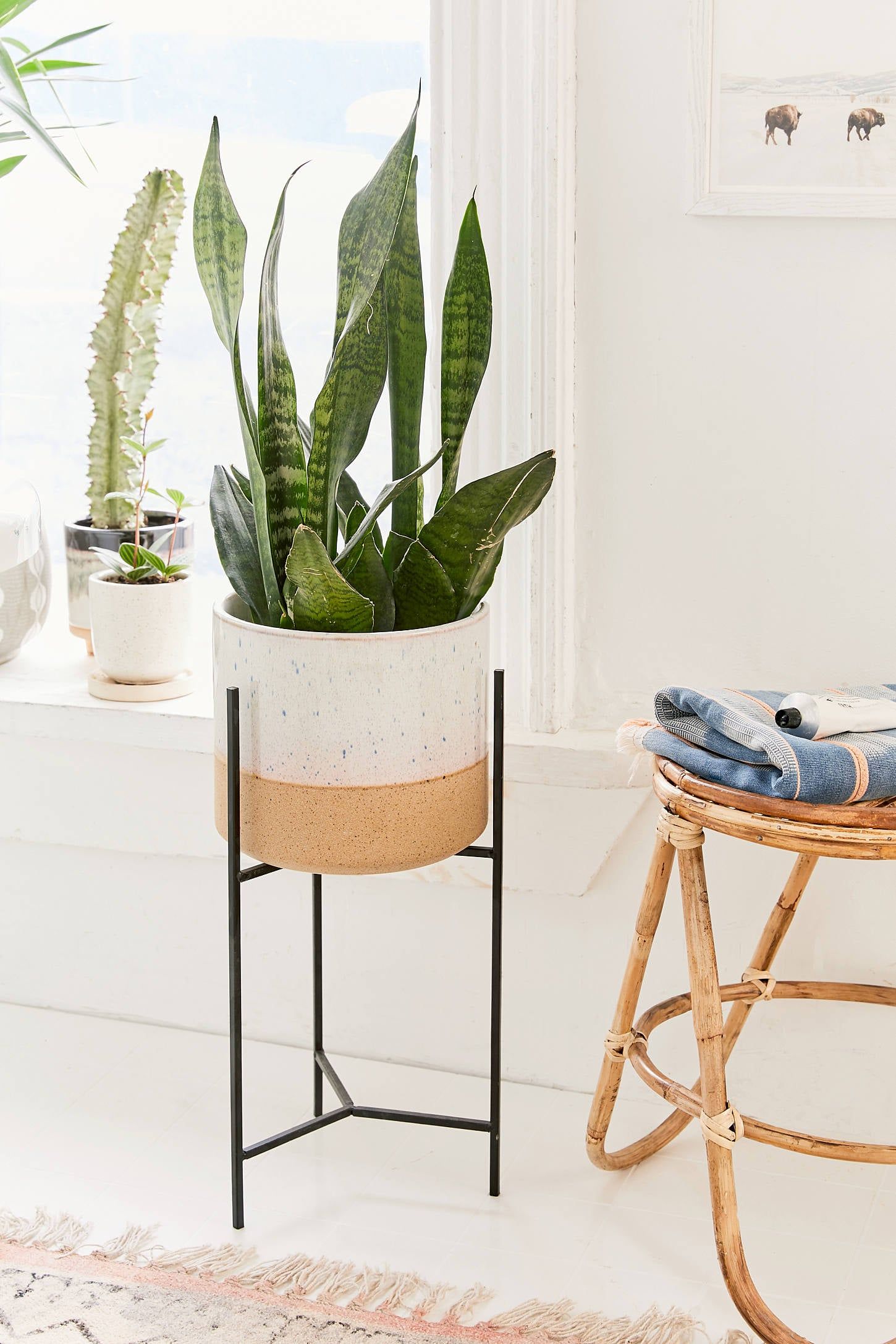 Brina 10 Inch Planter And Stand | 104 Plant Tastic Gifts That Will  Transform Any Home Into A Lush Oasis | Popsugar Home Photo 22 With Regard To 10 Inch Plant Stands (View 13 of 15)