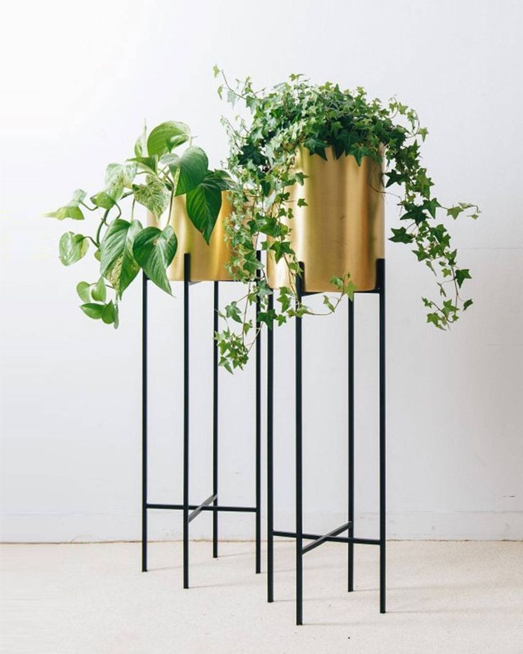 Bring Nature Into The Home With Our Deni Plant Stand And Brass Pot (View 8 of 15)