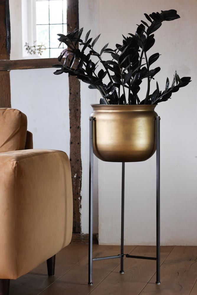 Bronze Planter On Metal Stand | Rockett St George Inside Bronze Plant Stands (Photo 1 of 15)