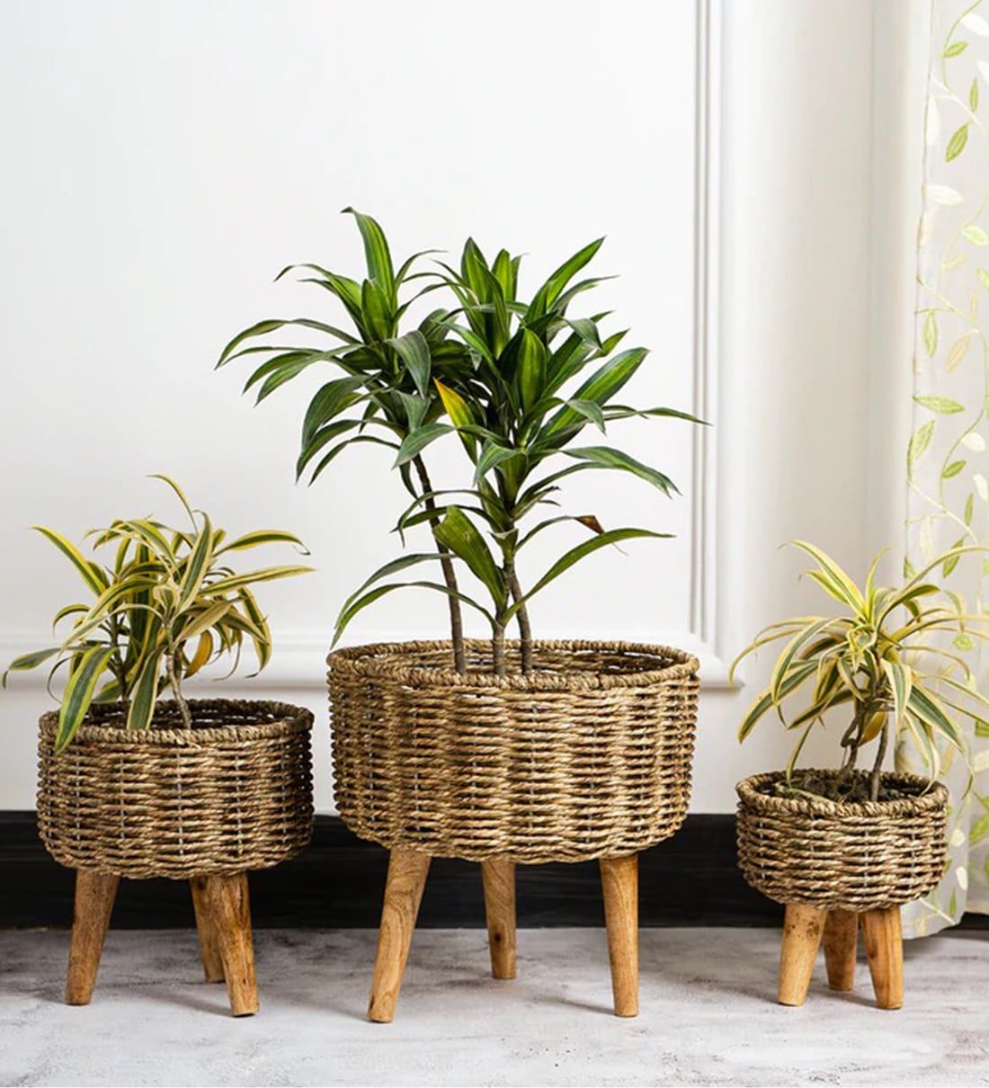 Buy Brown Metal Planter Stand With Jute Rope And Wooden Legs, Set Of 3 Foliyaj Online – Metal Planter Stands – Pots & Planters – Home Decor –  Pepperfry Product With Brown Metal Plant Stands (View 4 of 15)