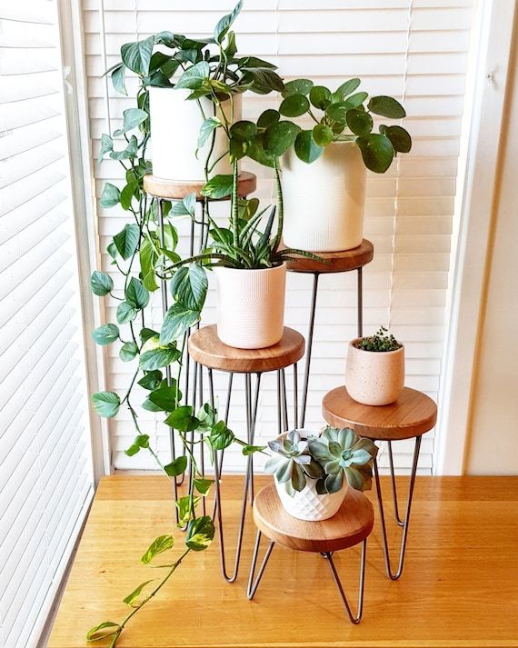 Buy Harper Hairpin Leg Plant Stand Metal Plant Stand Plant Online In India  – Etsy Within Metal Plant Stands (Photo 15 of 15)