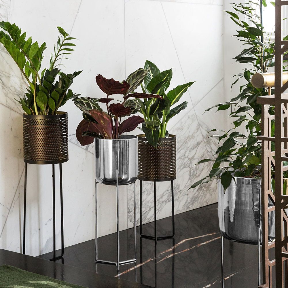 Buy Luxe Raised Nickel Planter – Short | Amara With Regard To Nickel Plant Stands (View 6 of 15)