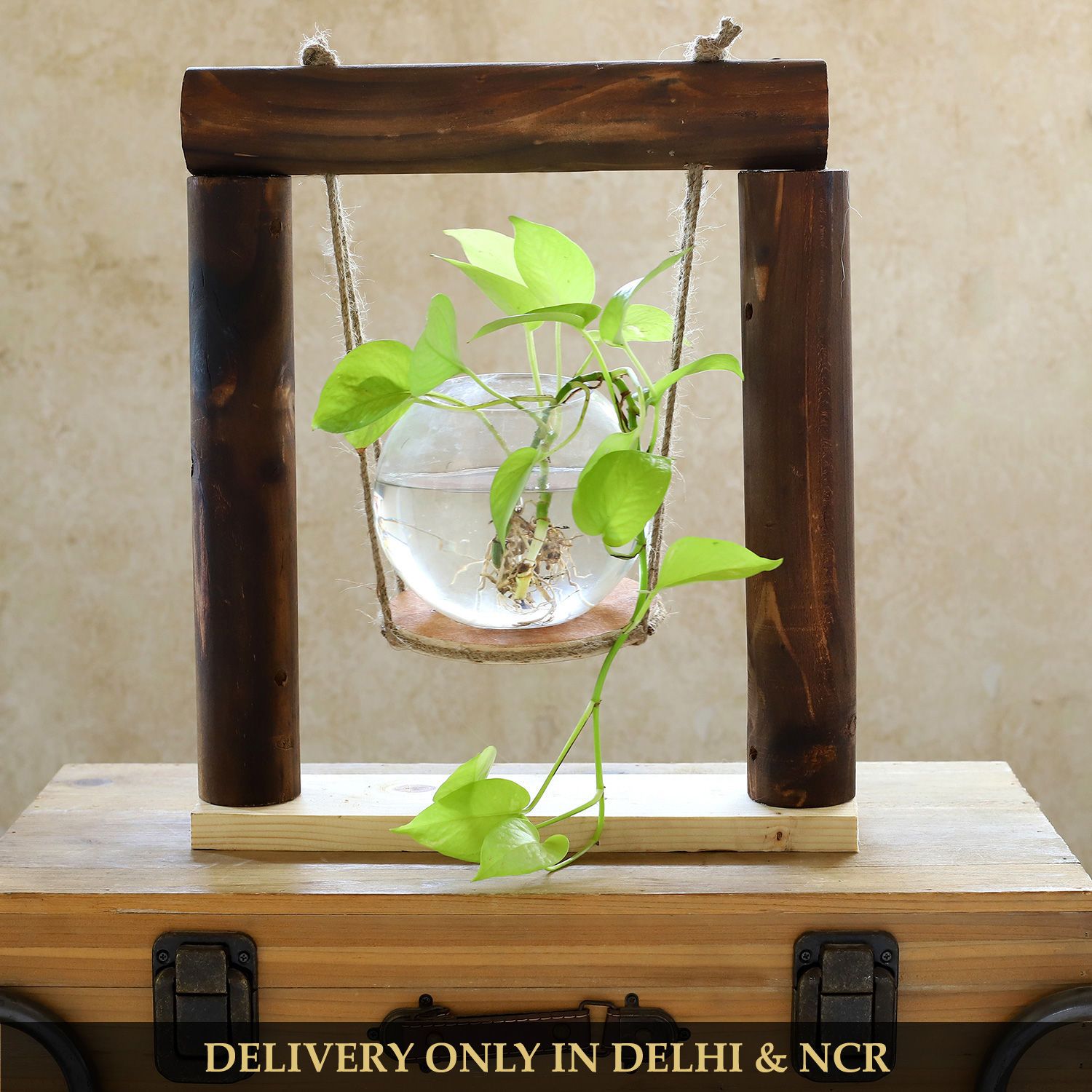 Buy/send Money Plant In Fish Bowl Planter & Wooden Stand Online  Fnp Pertaining To Fishbowl Plant Stands (View 11 of 15)