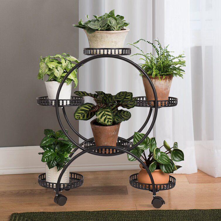 Canora Grey Ascension Round Multi Tiered Plant Stand & Reviews | Wayfair Within Round Plant Stands (View 2 of 15)