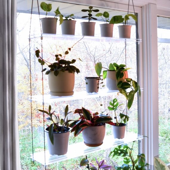 Clear Acrylic Window Plant Shelf Hanging Plant Shelf Indoor – Etsy Inside Clear Plant Stands (View 2 of 15)