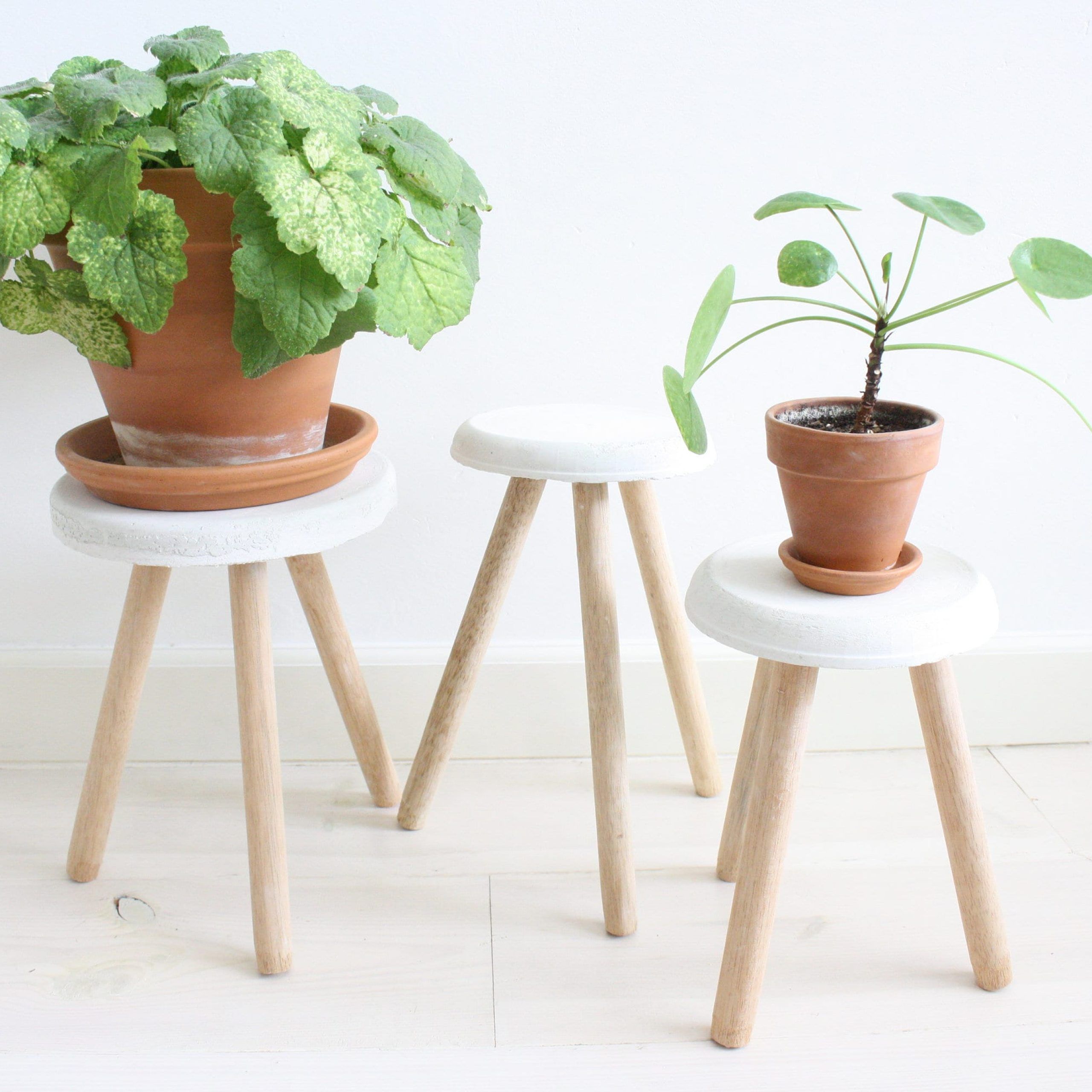 Concrete Plant Stand – Etsy Within Cement Plant Stands (View 15 of 15)