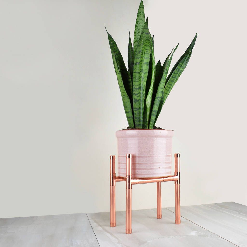 Copper Plant Stand Rectangle Baseproper Copper Design |  Notonthehighstreet Inside Copper Plant Stands (View 3 of 15)