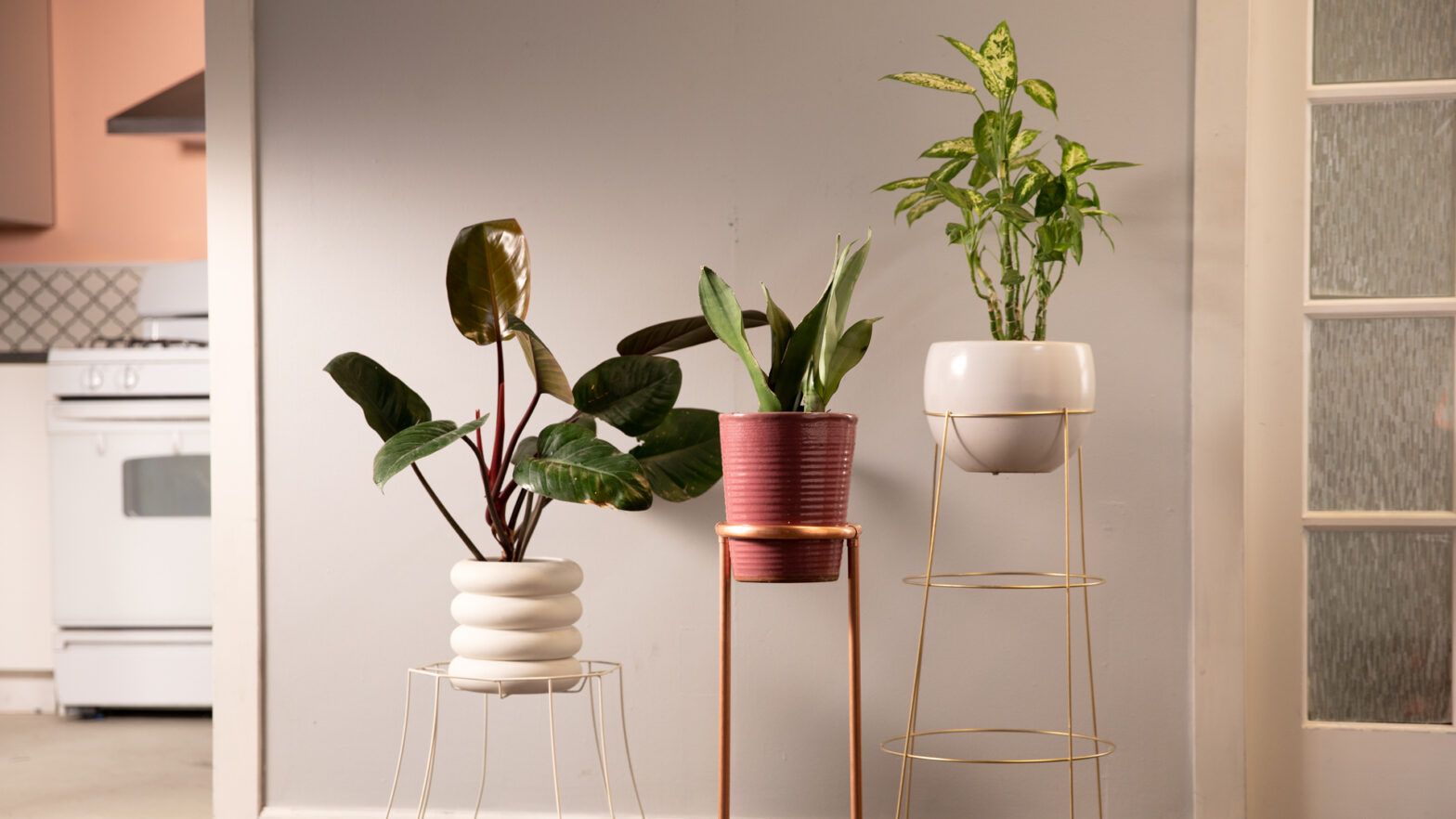 Diy Modern Plant Stands 3 Ways In 15 Minutes Or Less | Geico Living Intended For Modern Plant Stands (Photo 10 of 15)