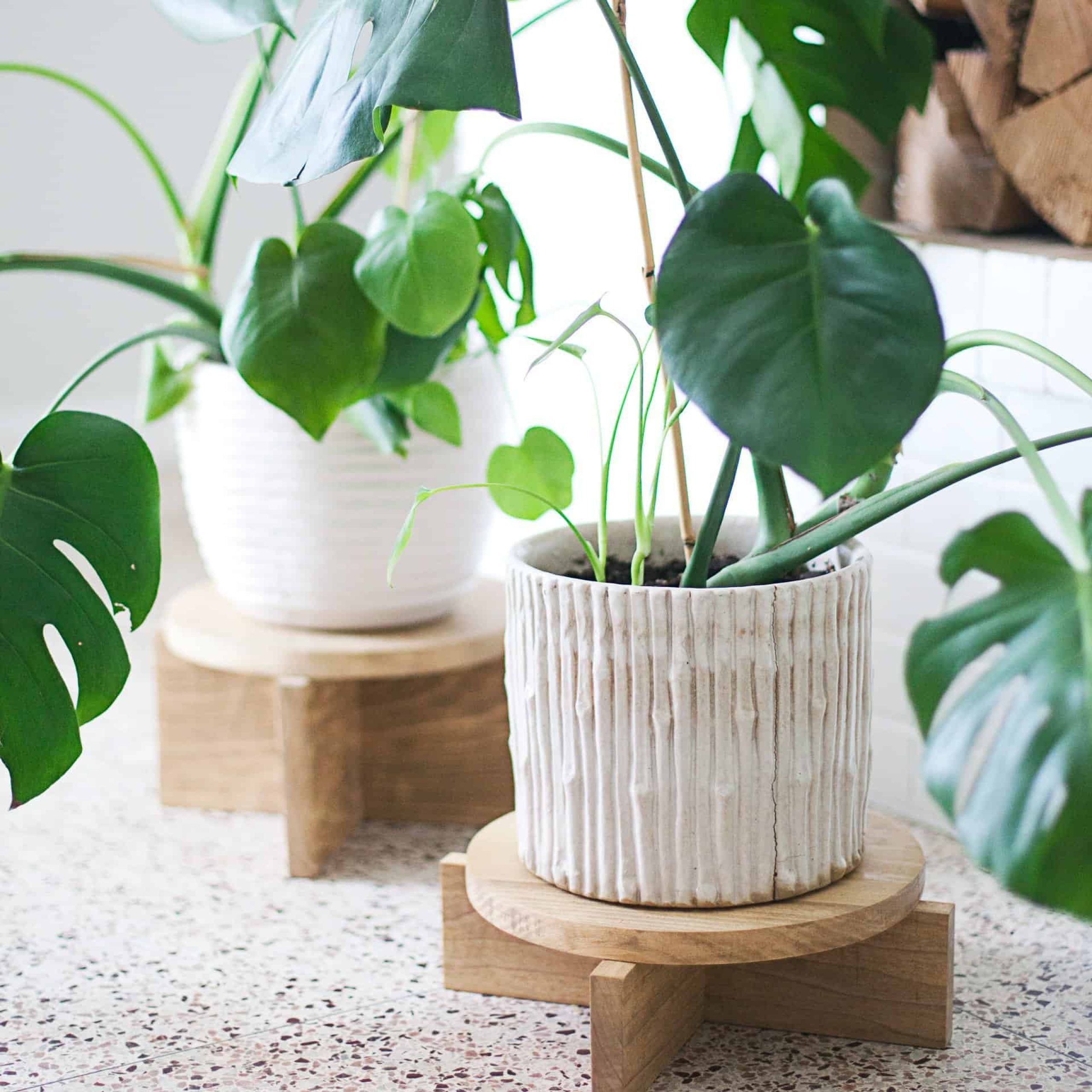 Diy Modern Wood Plant Stands – A Beautiful Mess For Wood Plant Stands (View 3 of 15)