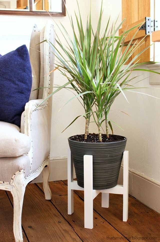 Diy Plant Stand With Free Plans – Jaime Costiglio With Painted Wood Plant Stands (View 6 of 15)