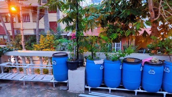 Diy Pvc Pipe Stands For Terrace Garden – Green Growers With Pvc Plant Stands (View 6 of 15)