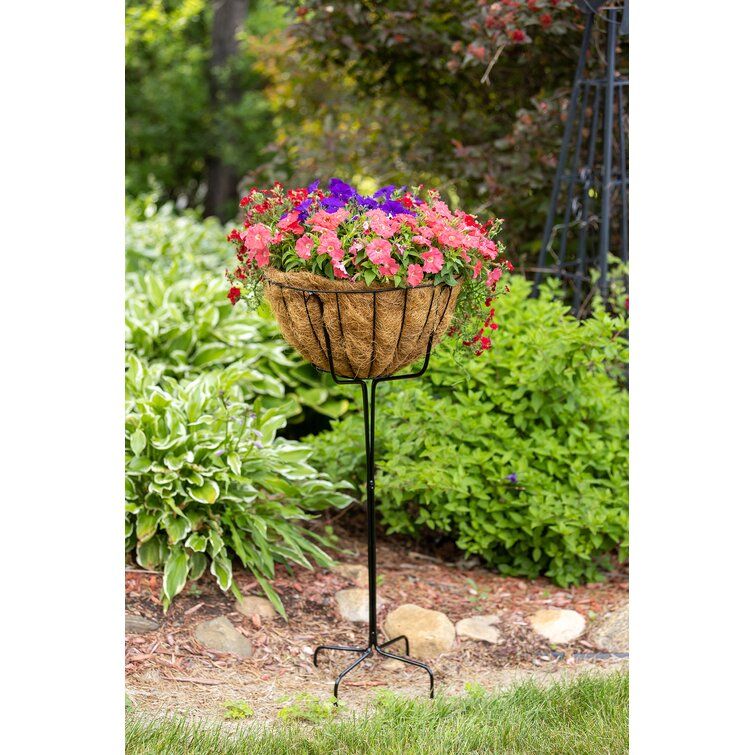 Ebern Designs Addylan Plant Stand & Reviews | Wayfair Inside 14 Inch Plant Stands (Photo 12 of 15)
