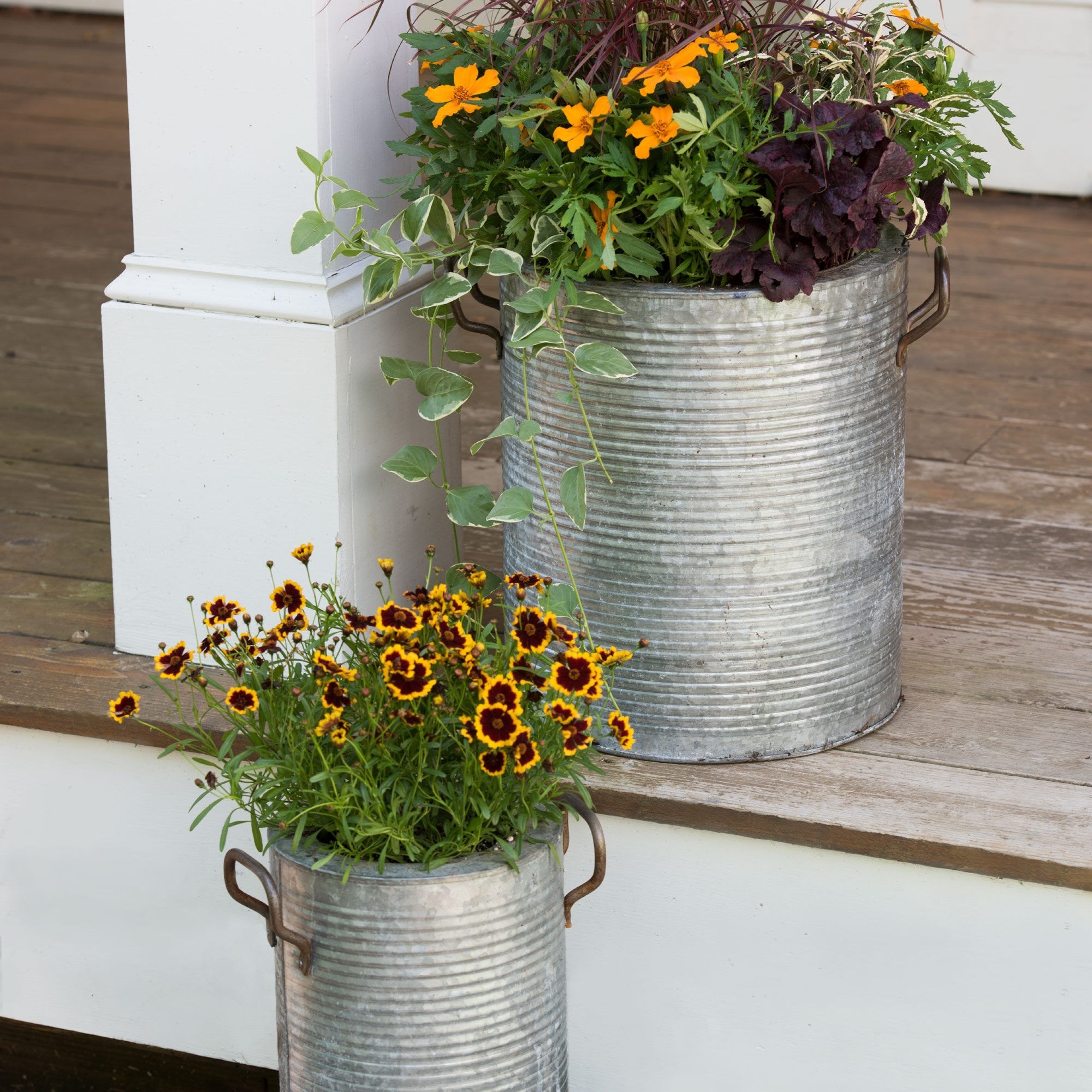 Galvanized Metal Planters With A Rim And Handles | Gardeners Pertaining To Galvanized Plant Stands (View 6 of 15)
