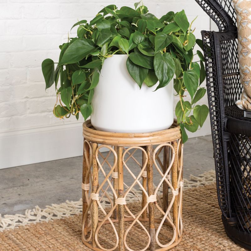 Get Bohemien Short Plant Stand, 15 Inches Tall In Mi At English Gardens  Nurseries | Serving Clinton Township, Dearborn Heights, Eastpointe, Royal  Oak, West Bloomfield, And The Plymouth – Ann Arbor Michigan Areas With 15 Inch Plant Stands (Photo 8 of 15)