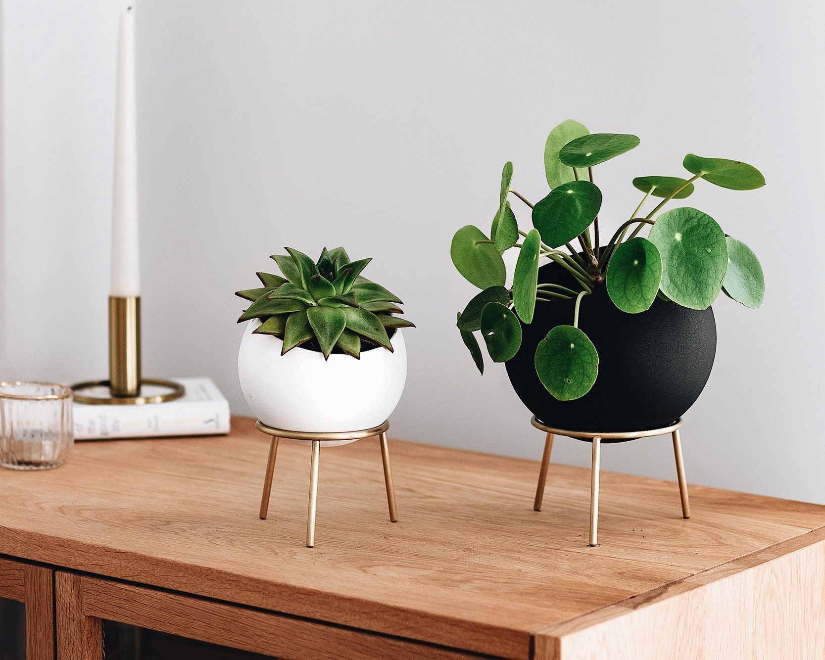 Globe Sphere Table And Floor Planters With Brass Stand – Etsy Within Globe Plant Stands (Photo 3 of 15)