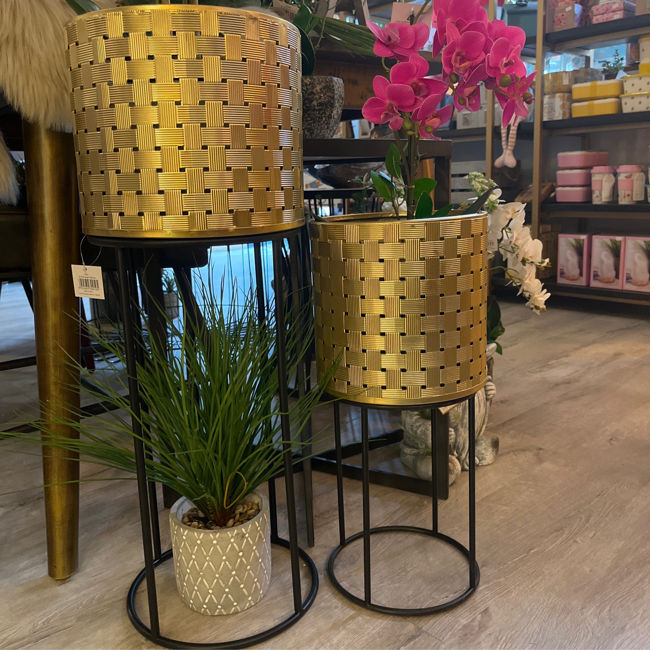 Gold Plant Stands Set Of Two 72cm & 52cm | Home Sweet Home For Gold Plant Stands (View 10 of 15)