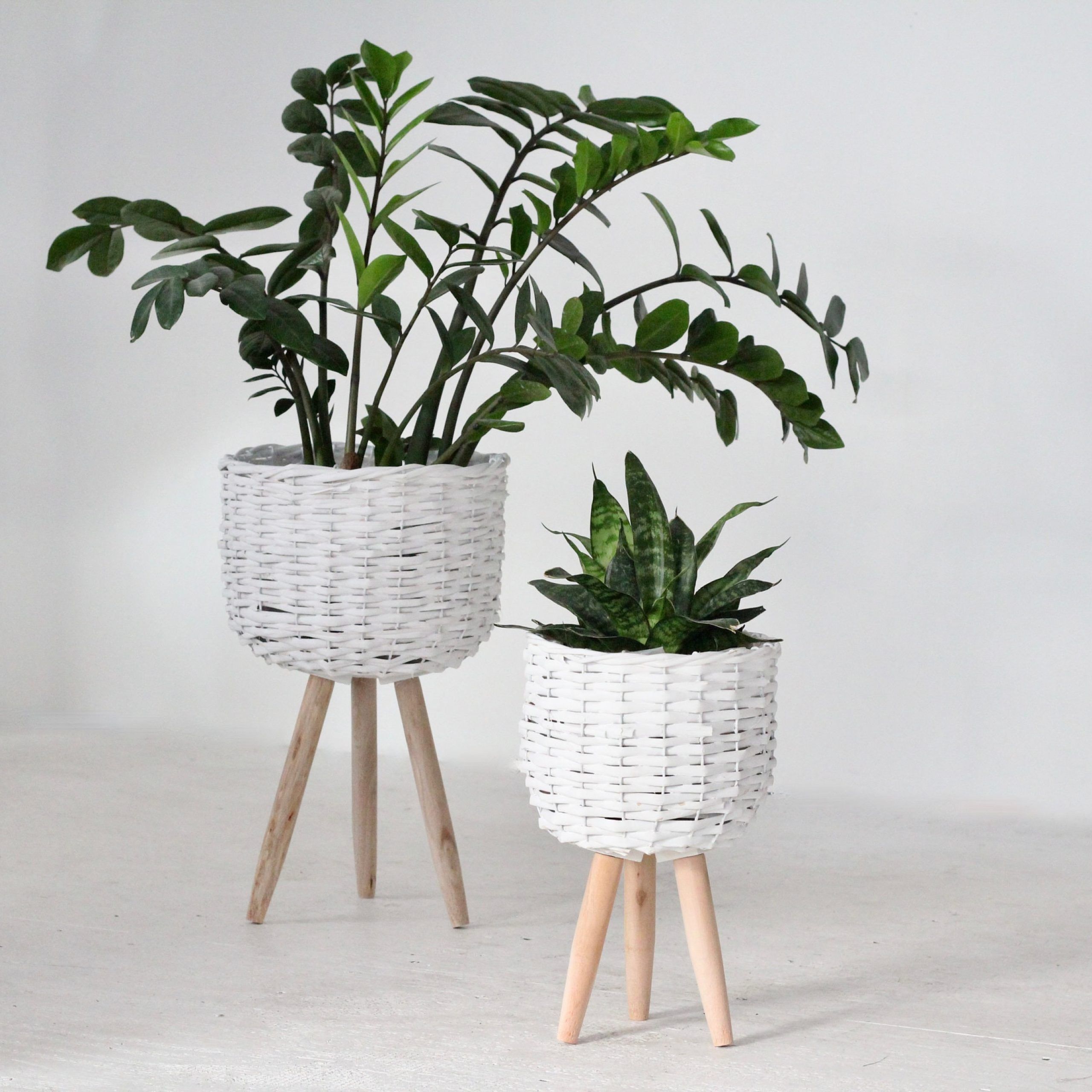 Gray Plant Stand – Etsy With Ancient Grey Plant Stands (View 14 of 15)