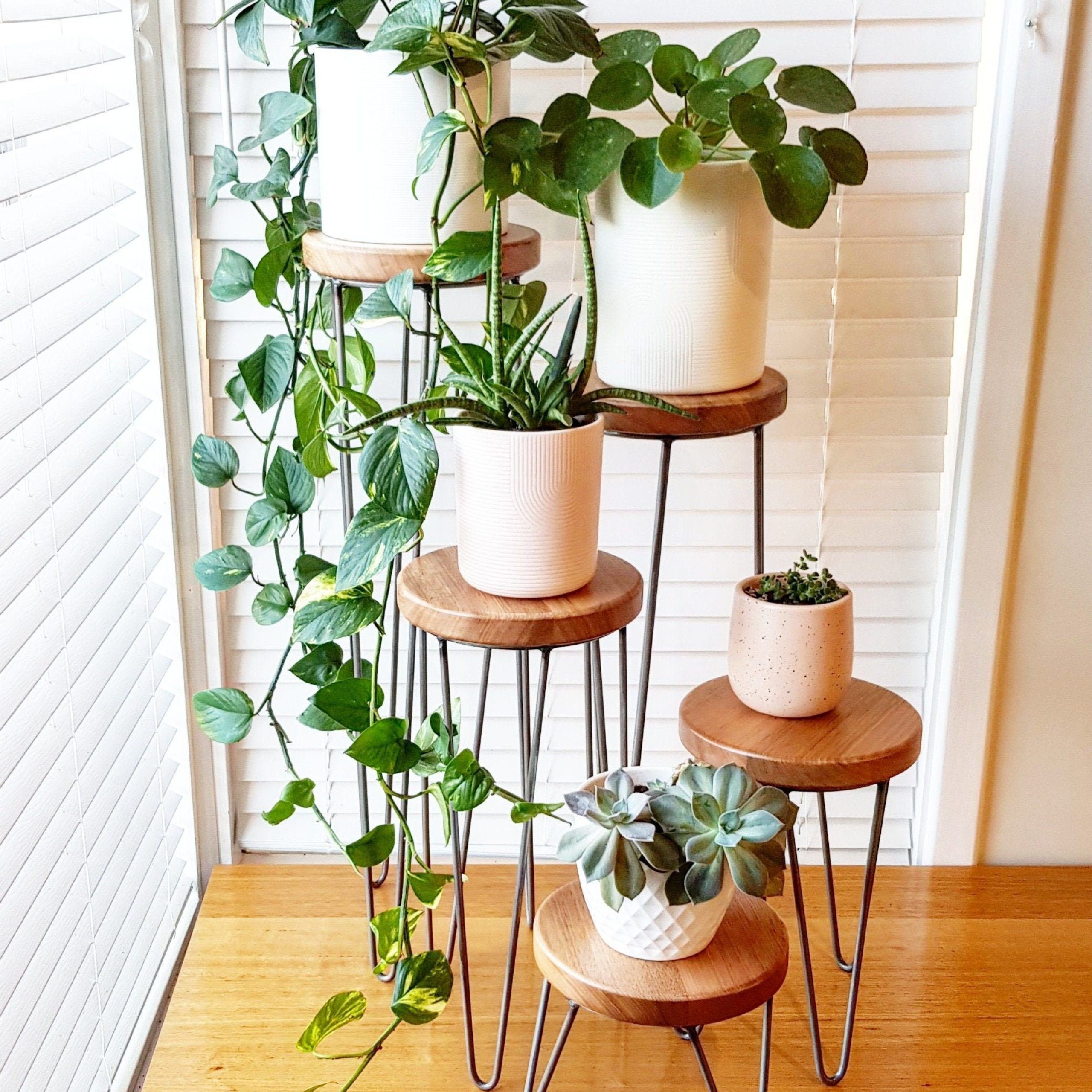Harper Hairpin Leg Plant Stand Metal Plant Stand Plant – Etsy Uk |  Decoración De Casa Con Plantas, Decoracion Plantas, Plantas Interior  Decoracion Within Plant Stands With Side Table (View 5 of 15)