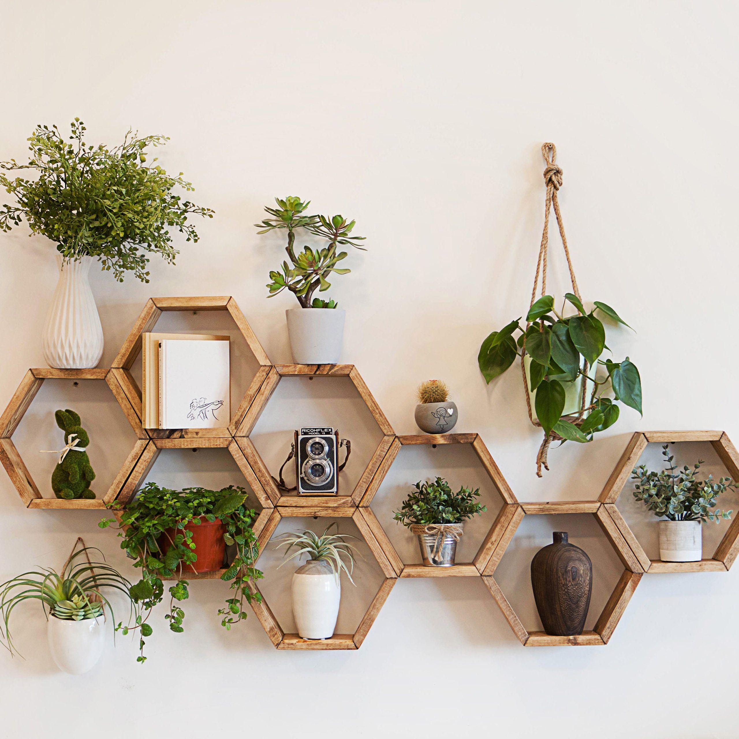 Hexagon Plant Shelf – Etsy For Hexagon Plant Stands (View 10 of 15)