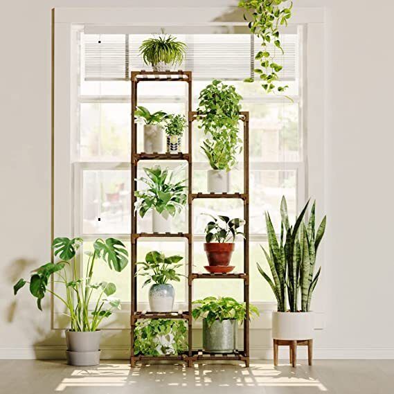 Indoor Plant Stands – Ideas On Foter For Green Plant Stands (Photo 3 of 15)