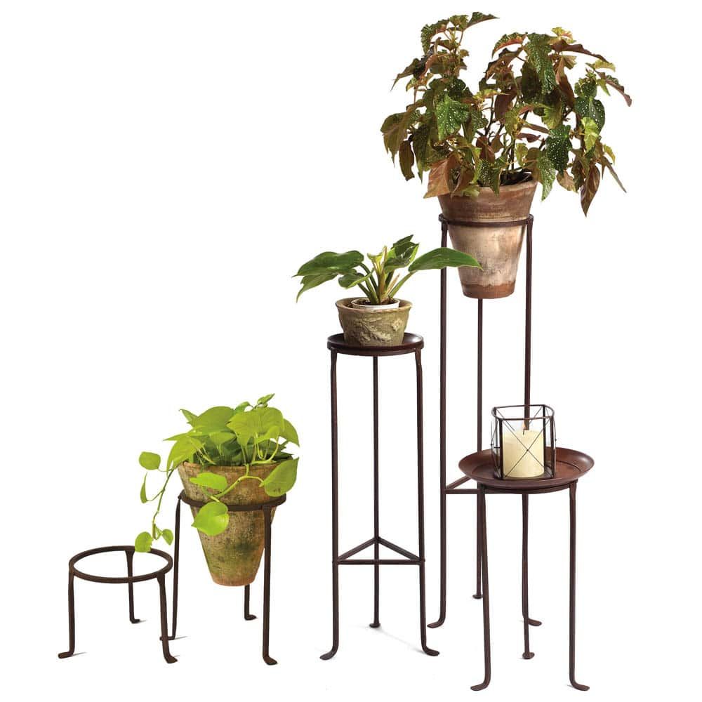 Iron Plant Stands – 8" Diameter – Campo De' Fiori – Naturally Mossed Terra  Cotta Planters, Carved Stone, Forged Iron, Cast Bronze, Distinctive  Lighting, Zinc And More For Your Home And Garden (View 3 of 15)