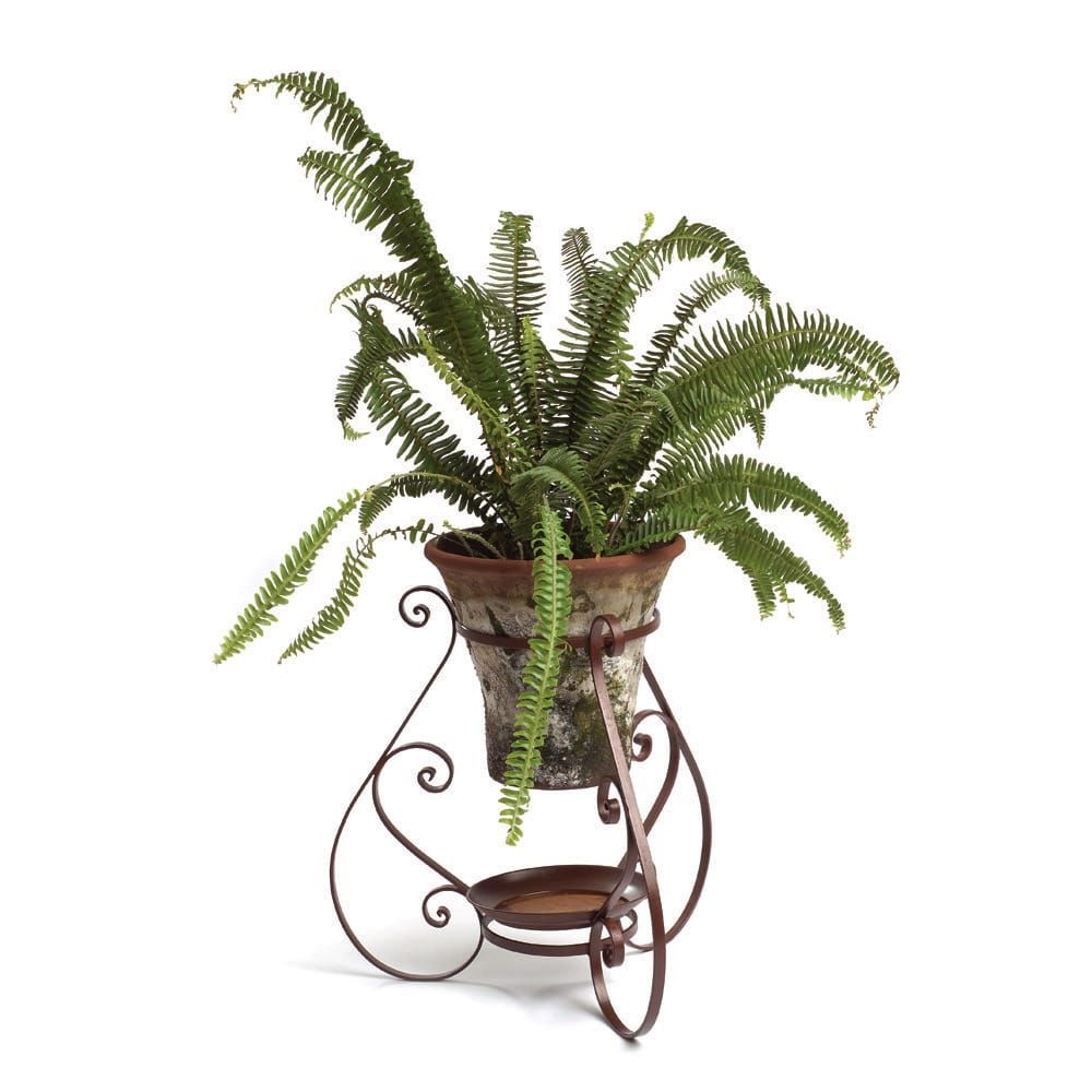 Iron Sevilla Plant Stand – Campo De' Fiori – Naturally Mossed Terra Cotta  Planters, Carved Stone, Forged Iron, Cast Bronze, Distinctive Lighting,  Zinc And More For Your Home And Garden (View 11 of 15)