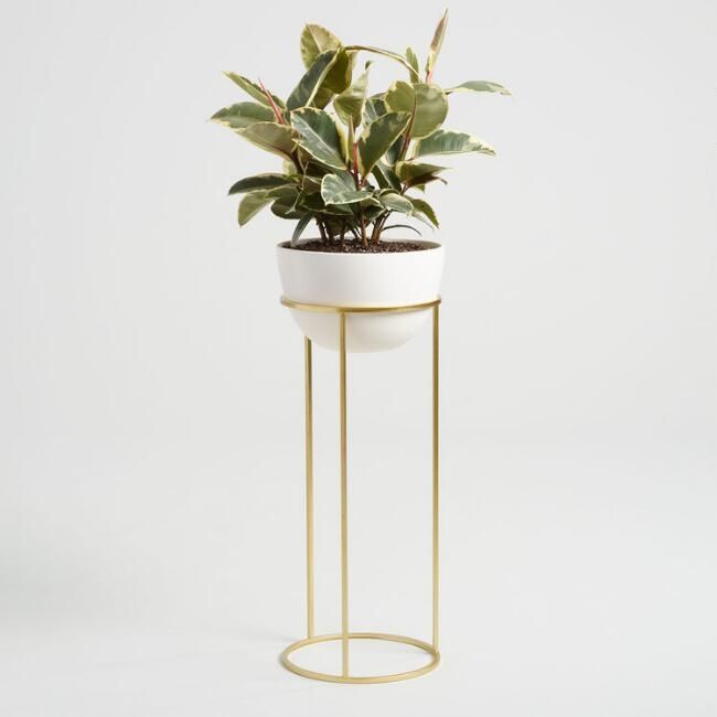 Ivory Ceramic Planter With Gold Stand #homedecor #minimalist #modern #ad |  Ceramic Planters, Gold Planter, Planters Within Ivory Plant Stands (Photo 14 of 15)