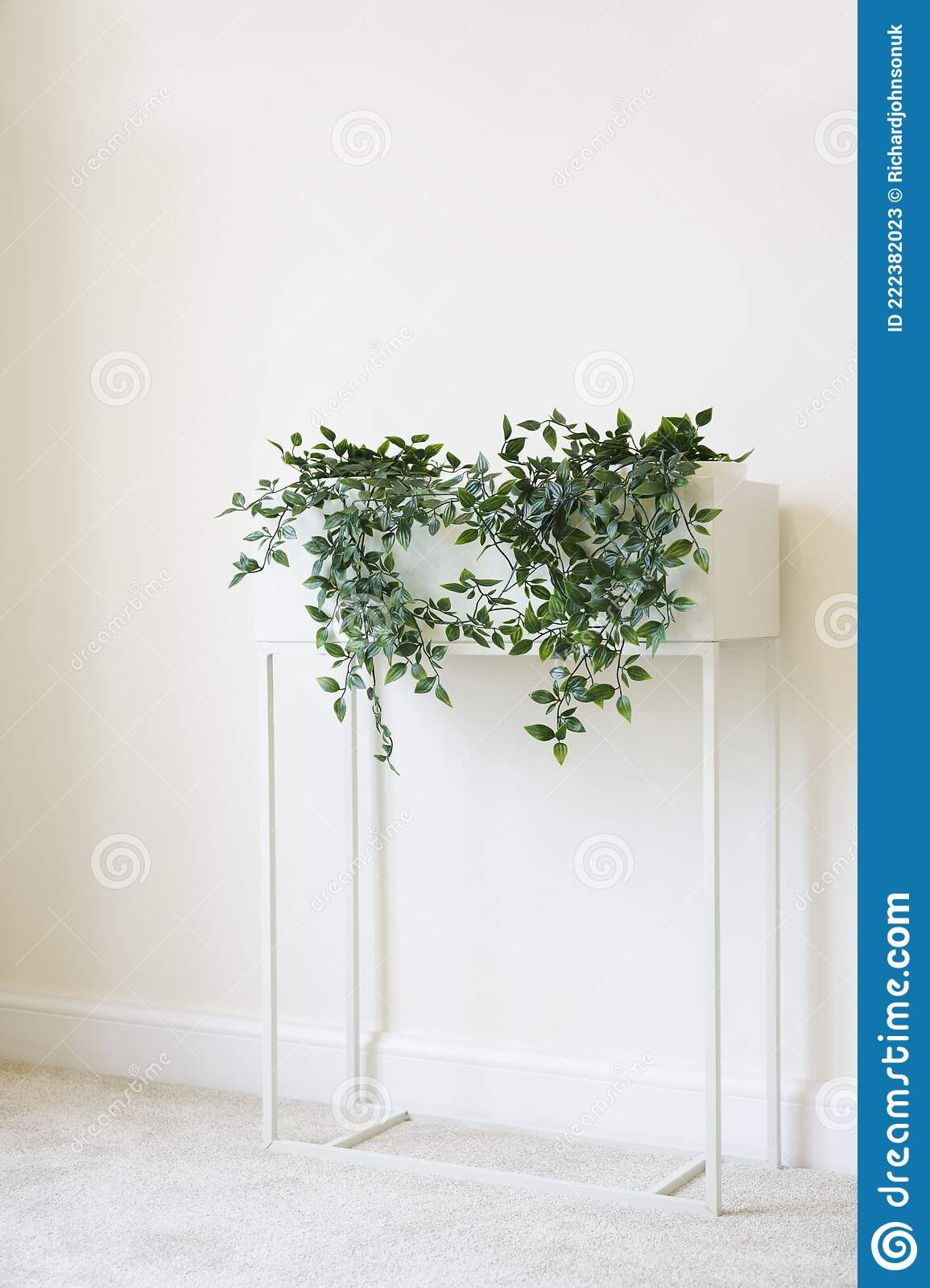 Ivy Green Plant In White Plant Stand And Neutral Decor Home Stock Image –  Image Of Wall, Exotic: 222382023 For Ivory Plant Stands (View 10 of 15)