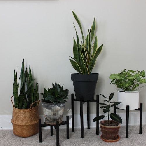 Modern Metal Plant Stand Black Indoor/outdoor Plant Stand – Etsy Uk Throughout Powdercoat Plant Stands (View 12 of 15)