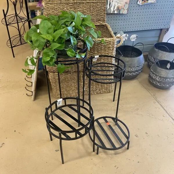 Modern Metal Plant Stand – Various Sizes › Anything Grows With Regard To Metal Plant Stands (View 8 of 15)