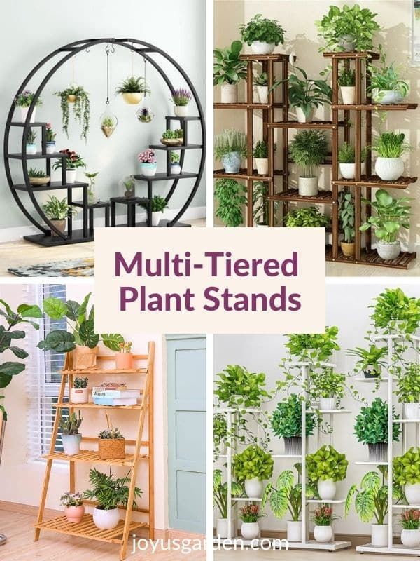 Multi Tier Plant Stands To Buy Online Inside 4 Tier Plant Stands (View 13 of 15)