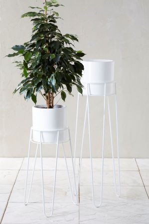 Next Set Of 2 White Plant Stands – White | White Plants, Plant Stand,  Garden Furniture Sets Inside White Plant Stands (Photo 1 of 15)
