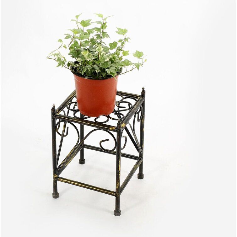 Ophelia & Co. Magallon Square Small Cast Iron Plant Stand & Reviews |  Wayfair Within Iron Square Plant Stands (Photo 6 of 15)