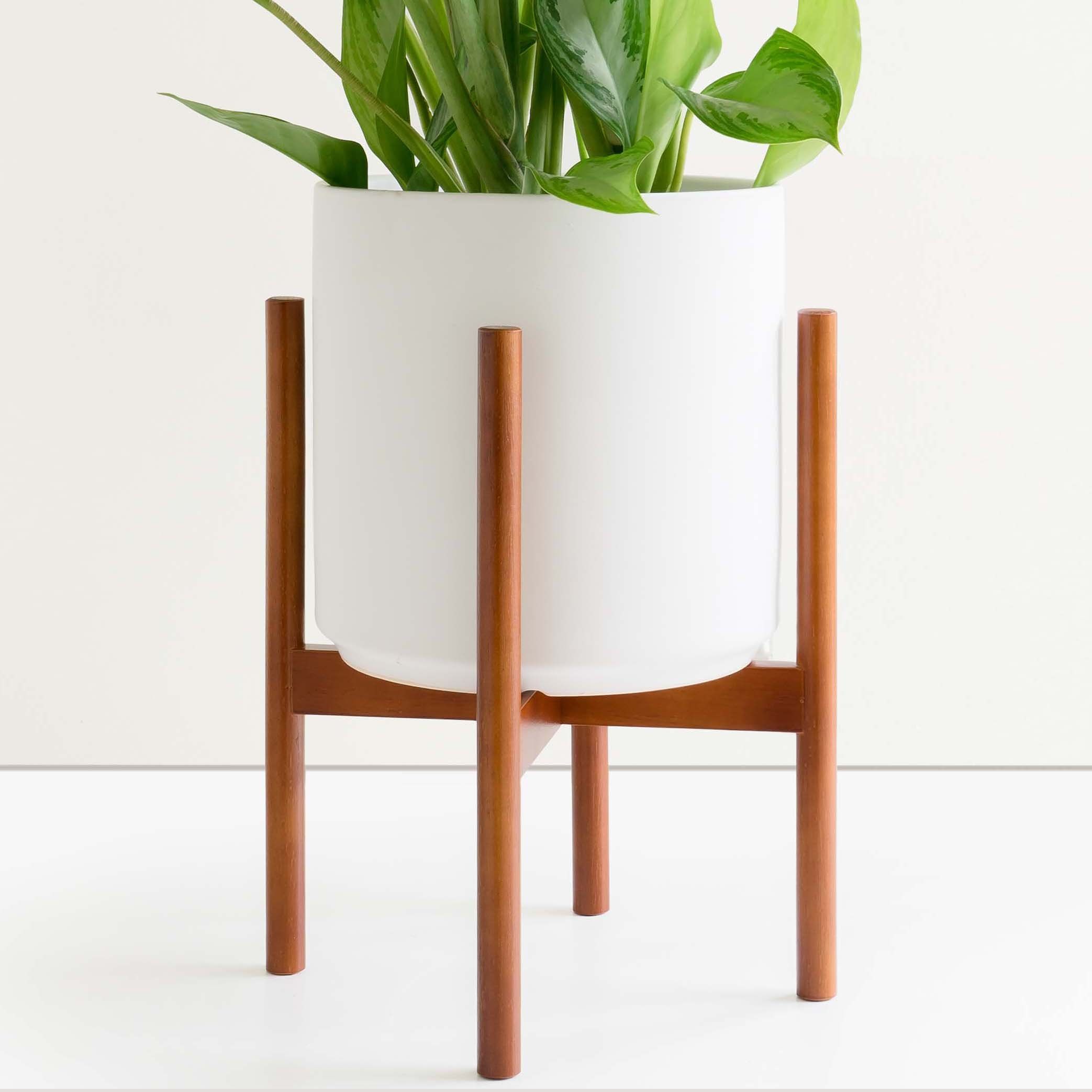 Featured Photo of 15 Ideas of 12-inch Plant Stands